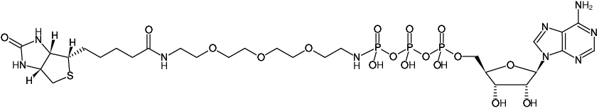 Structural formula of γ-[(PEG3-Amino)-imido]-ATP-Biotin (γ-[(PEG3-Amino)-imido]-adenosine-5'-triphosphate-Biotin, Sodium salt)