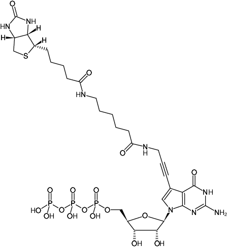 Structural formula of Biotin-11-GTP (Triethylammonium salt)