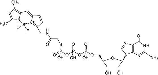 Structural formula of GTPγS-BDP-FL (also known as BODIPY® FL GTPγS, Guanosine-5'-(γ-thio)-triphosphate, labeled with BODIPY® FL, Sodium salt)