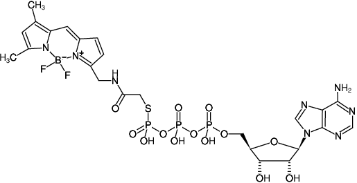 Structural formula of ATPγS-BDP-FL (also known as BODIPY® FL ATPγS, Adenosine-5'-(γ-thio)-triphosphate, labeled with BODIPY® FL, Sodium salt)