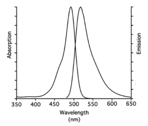 Excitation and Emission spectrum of 5/6-FAM