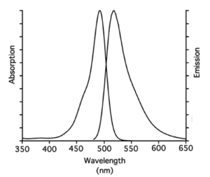 excitation and emission spectrum of 5-FAM