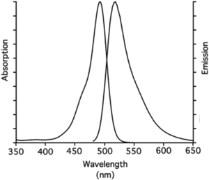 excitation and emission spectrum of 6-FAM