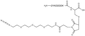 Structural formula of Azide-PEG3-FLAG