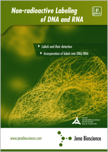 Preview Non-radioactive Labeling of DNA and RNA